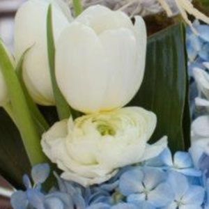 Meet your Posher, Cuca